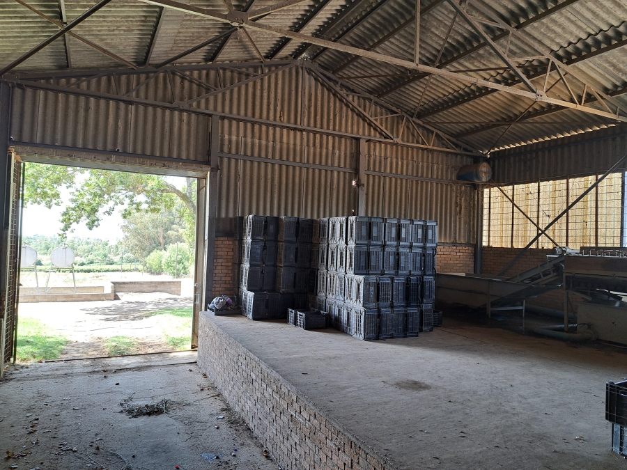 4 Bedroom Property for Sale in Paarl Rural Western Cape